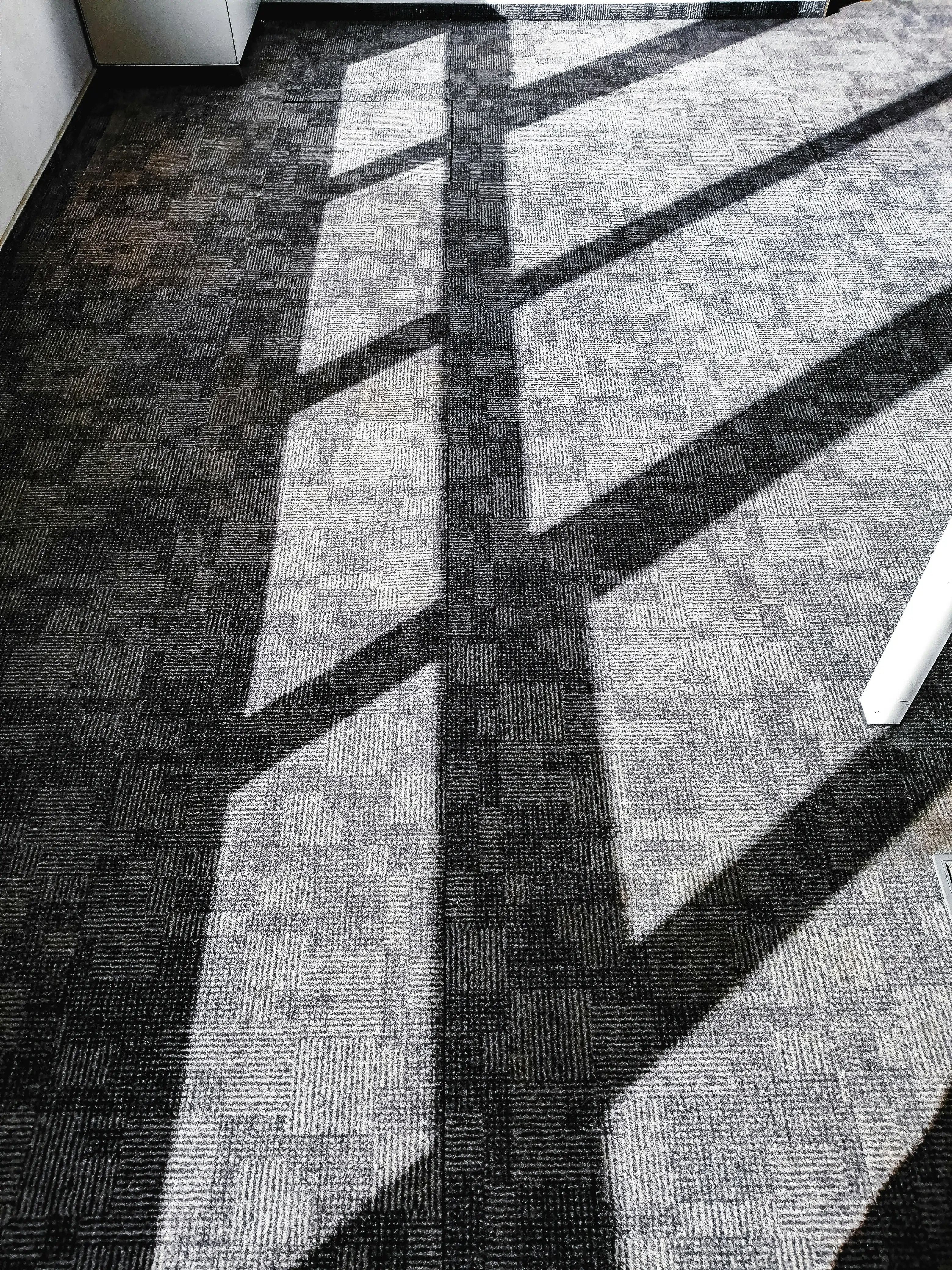 Profesjonalne pranie wykładzin biurowych